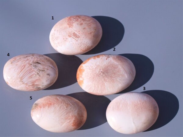 Pink Scolecit palmstone