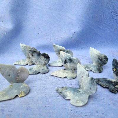 Blue Plume agat sommerfugl